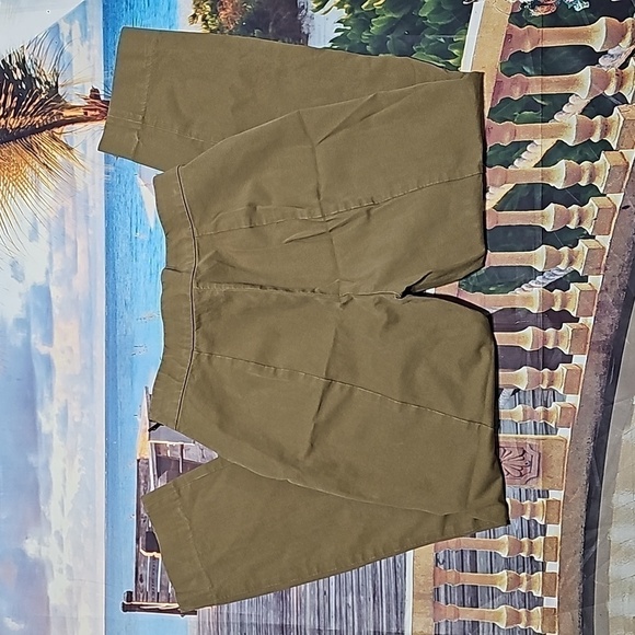 Everlane Tan Pants Size 10 - Picture 6 of 6